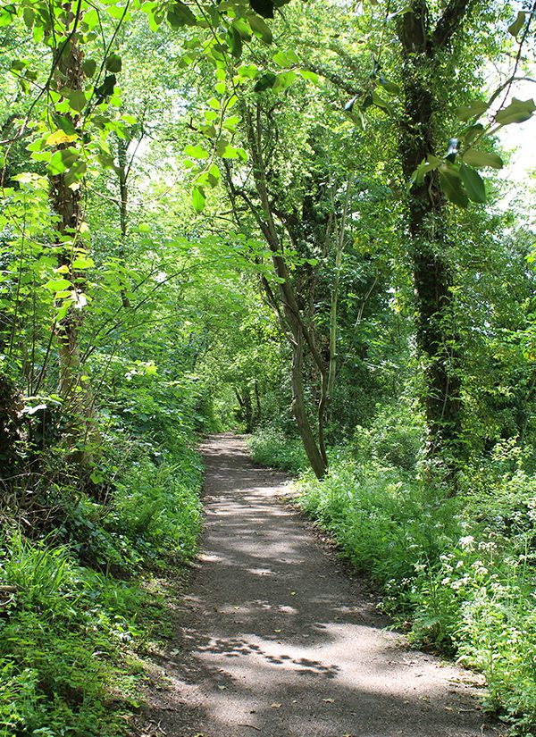 Hay-on-Wye has much to offer visitors to the area.